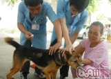 准妈妈也能接种狂犬疫苗了